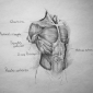 Imagen 8